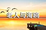 小学语文经典评课资料主评《老人与海鸥》的评课稿